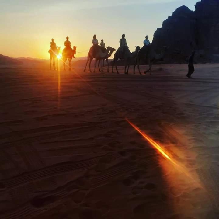 Bedouin Campsite & Tours Hotell Wadi Rum Eksteriør bilde