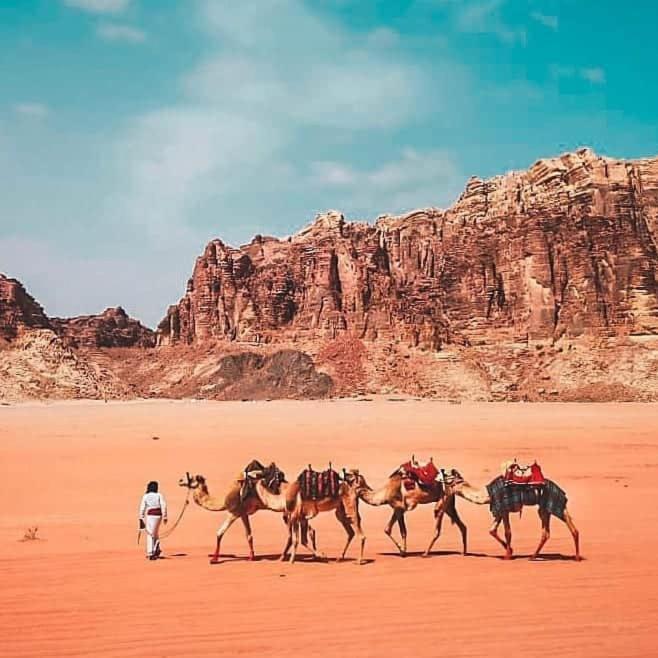 Bedouin Campsite & Tours Hotell Wadi Rum Eksteriør bilde