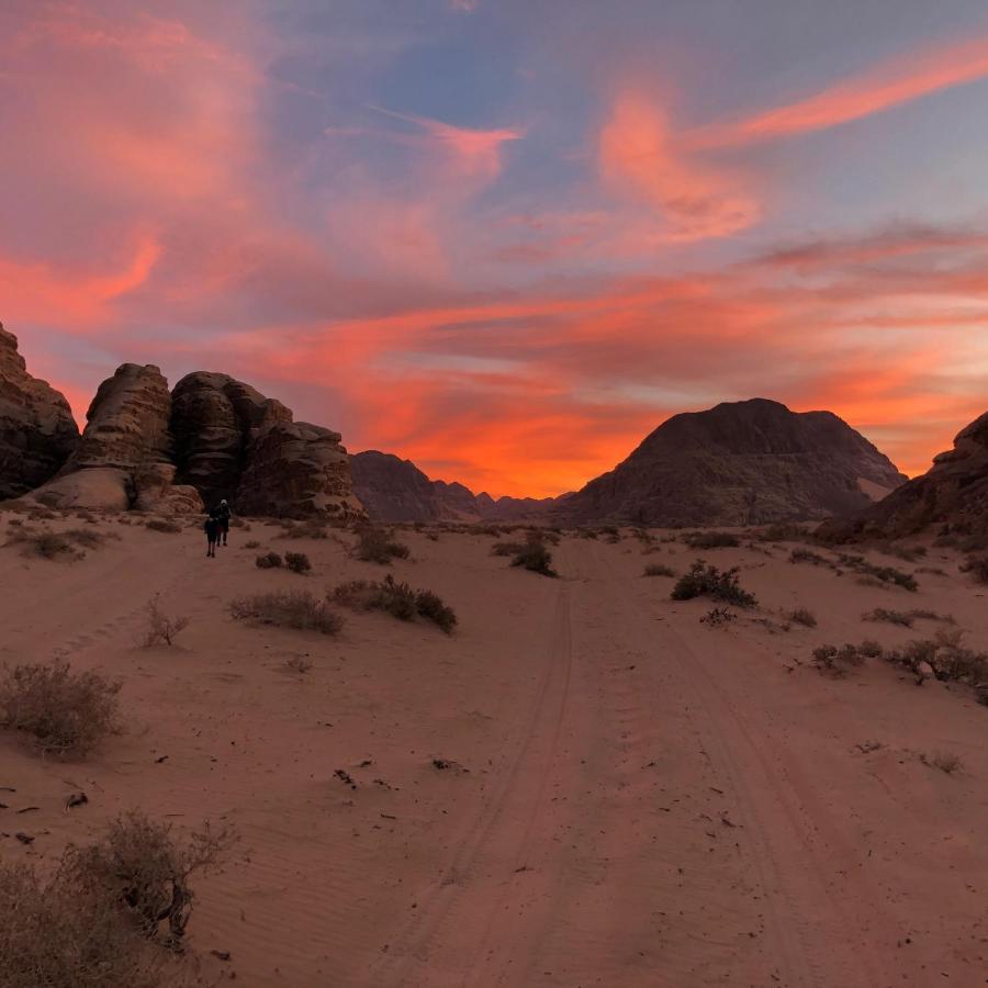 Bedouin Campsite & Tours Hotell Wadi Rum Eksteriør bilde